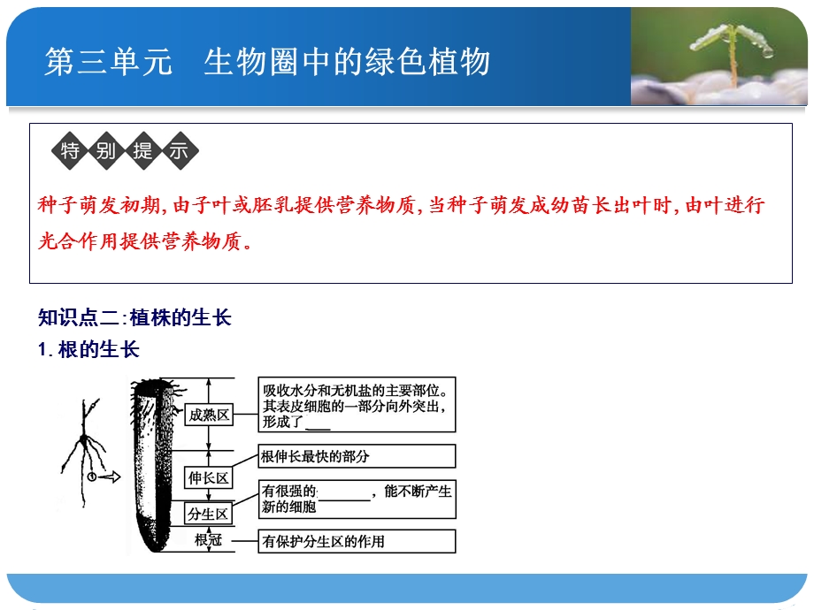 《被子植物的生》PPT课件.ppt_第3页