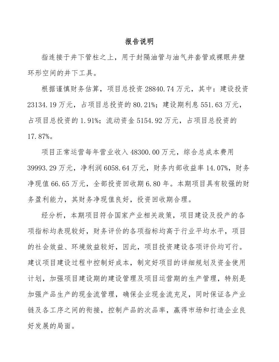 南宁封隔器项目可行性研究报告范文.docx_第2页