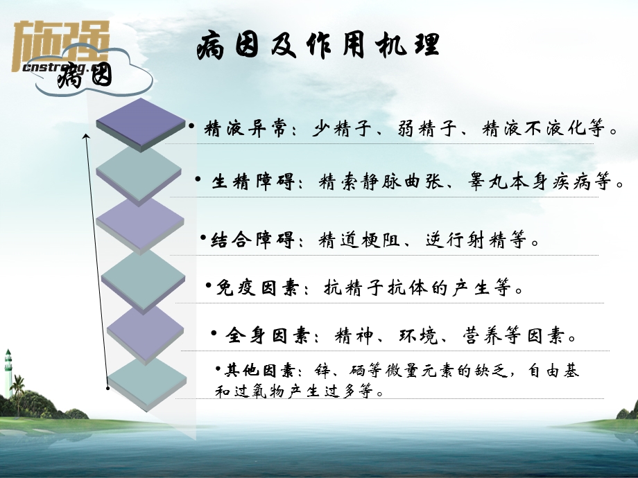 学术部程亮.ppt_第3页