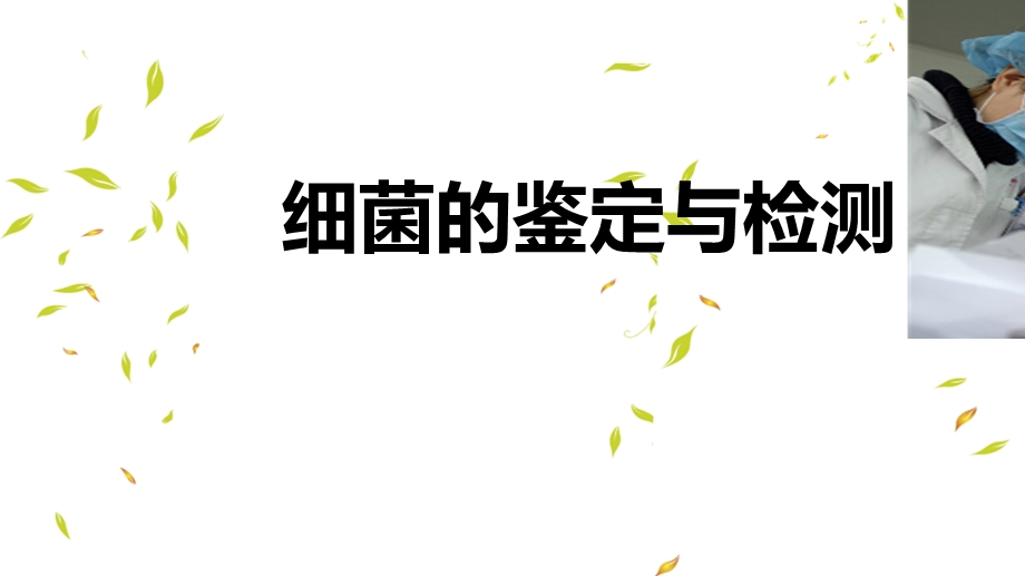 《鉴定与检测》PPT课件.ppt_第2页