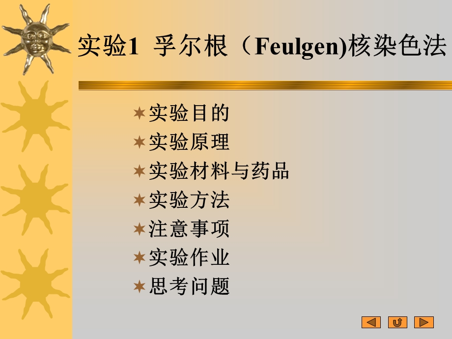 《孚尔根核染色》PPT课件.ppt_第1页