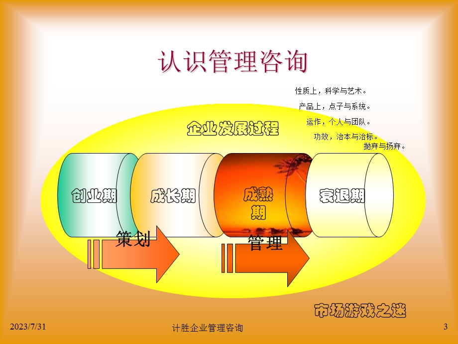 《管理顾问操作实务》PPT课件.ppt_第3页