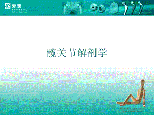 《髋关节解剖学》PPT课件.ppt