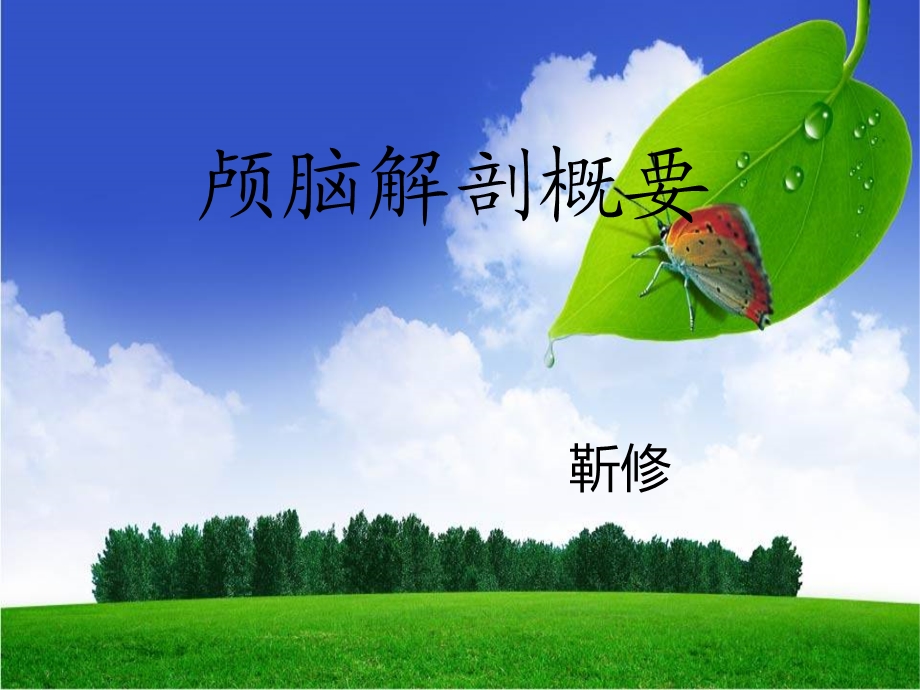 《颅脑解剖概要》PPT课件.ppt_第1页