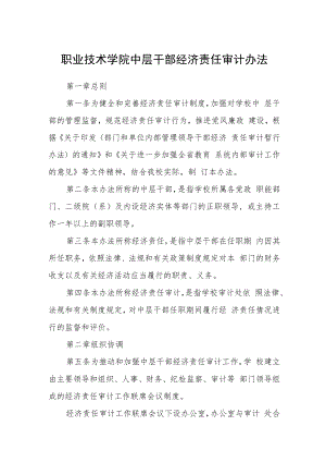 职业技术学院中层干部经济责任审计办法.docx