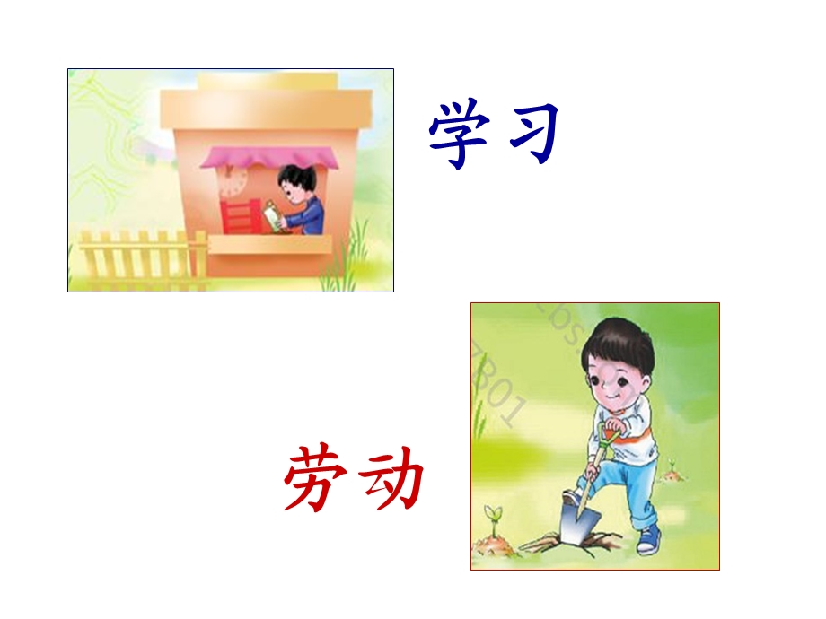 观察人体识汉字.ppt.ppt_第2页