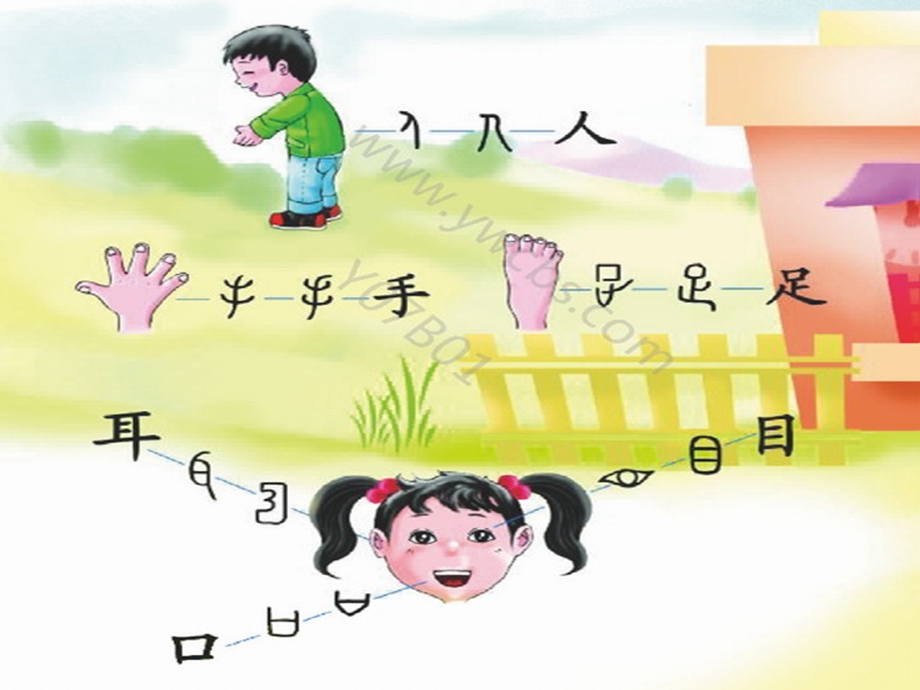 观察人体识汉字.ppt.ppt_第3页