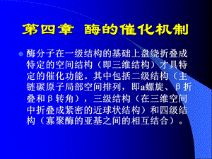 《酶的催化机制》PPT课件.ppt