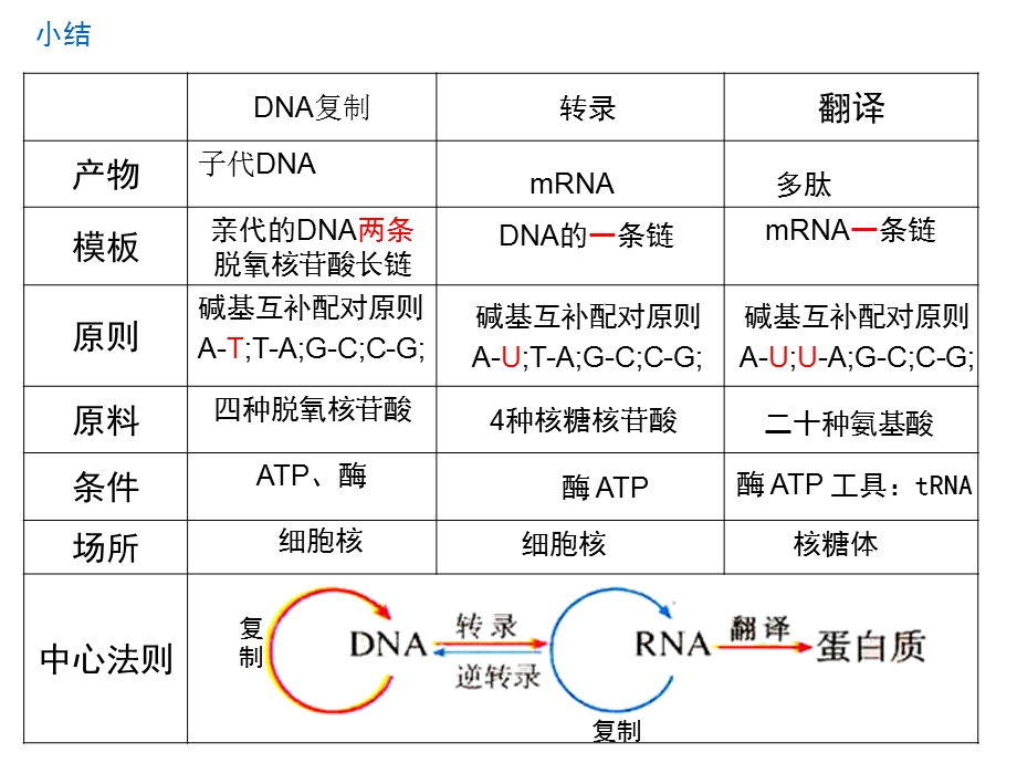 有丝与减数ppt课件.ppt_第1页