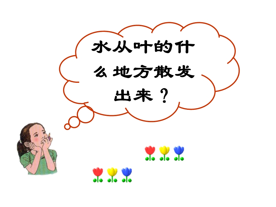 《观察叶片的结构》PPT课件.ppt_第3页