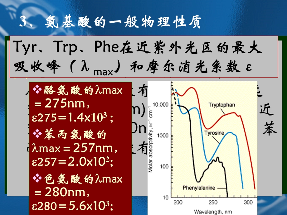 《氨基酸生产工艺》PPT课件.ppt_第3页