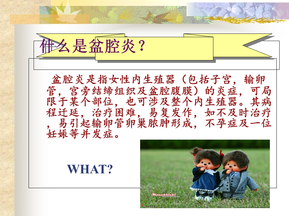 《盆腔炎健康教育》PPT课件.ppt_第2页