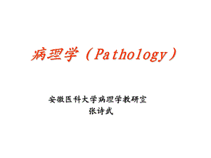 《绪论与变性》PPT课件.ppt