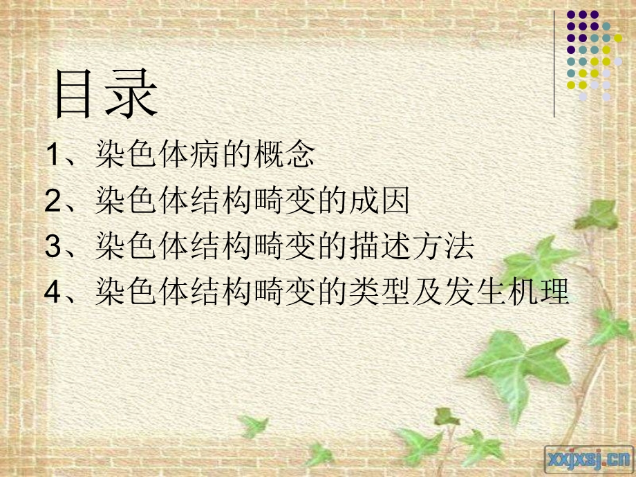 《染色体结构畸变》PPT课件.ppt_第2页