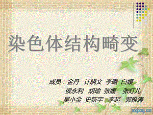 《染色体结构畸变》PPT课件.ppt