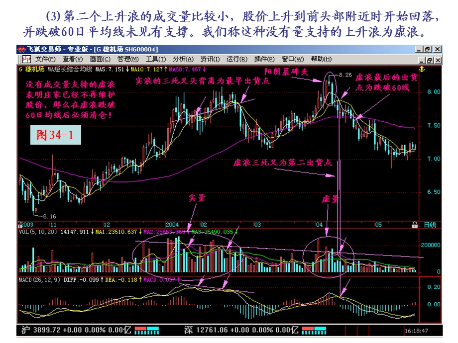 《实量与虚量》PPT课件.ppt_第2页