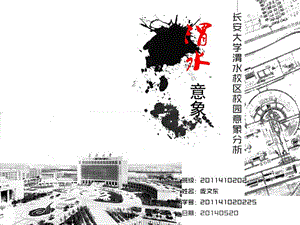 《渭水意象庞文东》PPT课件.ppt