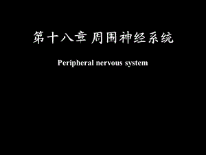 《脊神经解剖》PPT课件.ppt