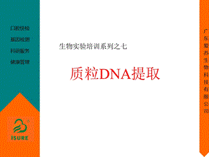 《质粒DNA提取》PPT课件.ppt