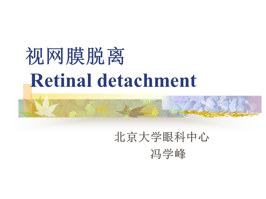 《视网膜脱离》PPT课件.ppt_第1页