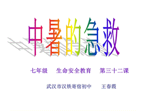 武汉市汉铁寄宿初中王霞.ppt