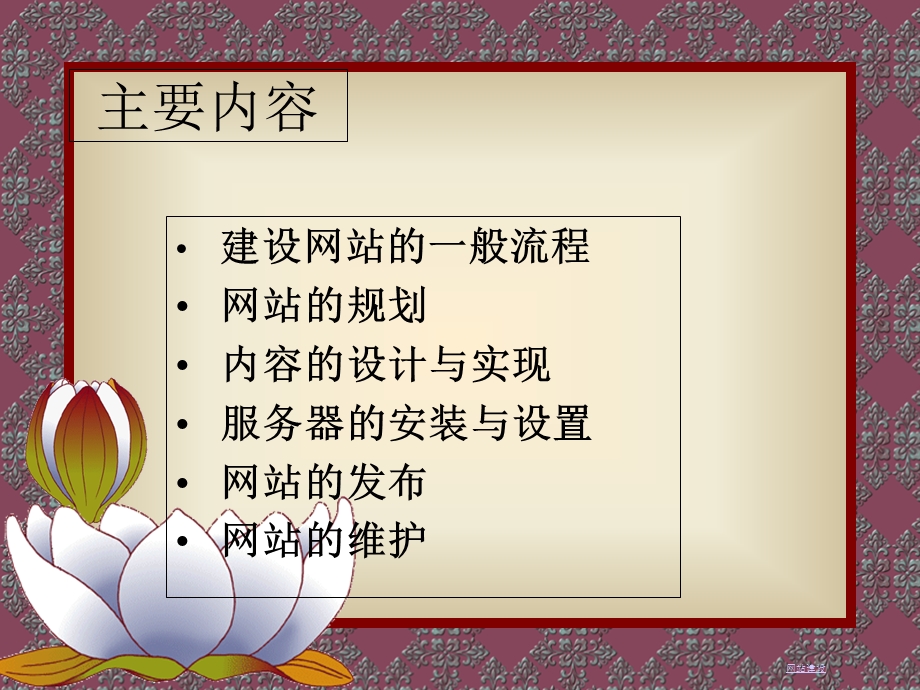 《网站开发教程》PPT课件.ppt_第1页