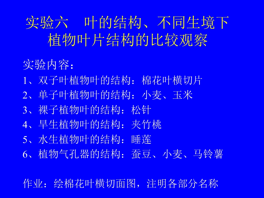 734实验六 叶的结构、不同生境下植物叶片结构的比较观察.ppt_第1页