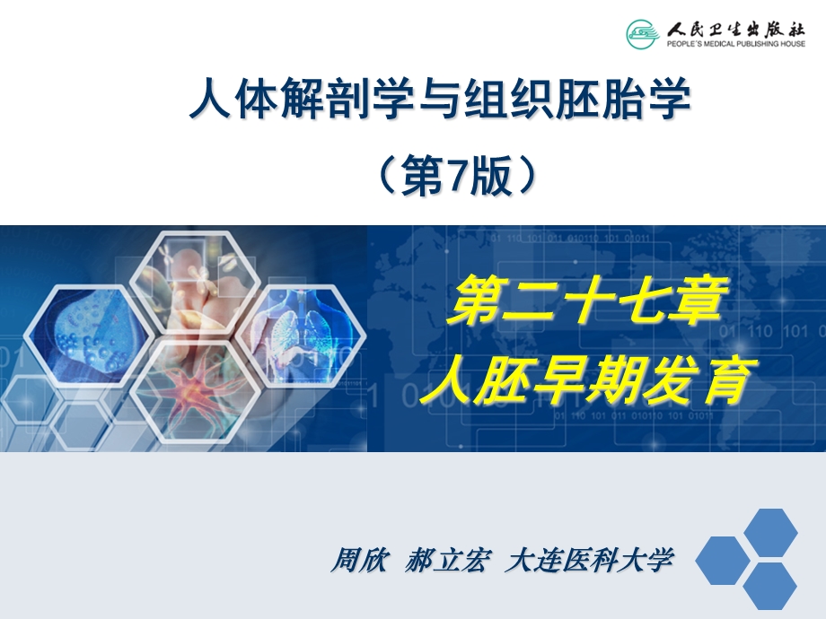 《人胚早期发育》PPT课件.ppt_第2页