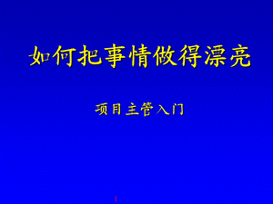 项目主管入门－如何把事情做漂亮.ppt