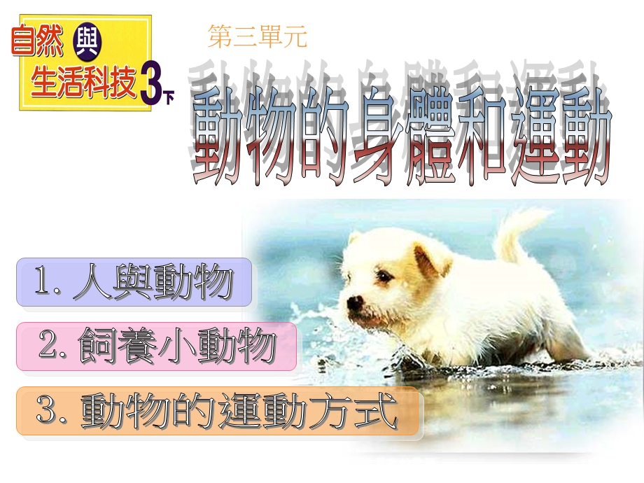 动物的身体和运动.ppt_第1页