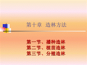 《造林方法》PPT课件.ppt