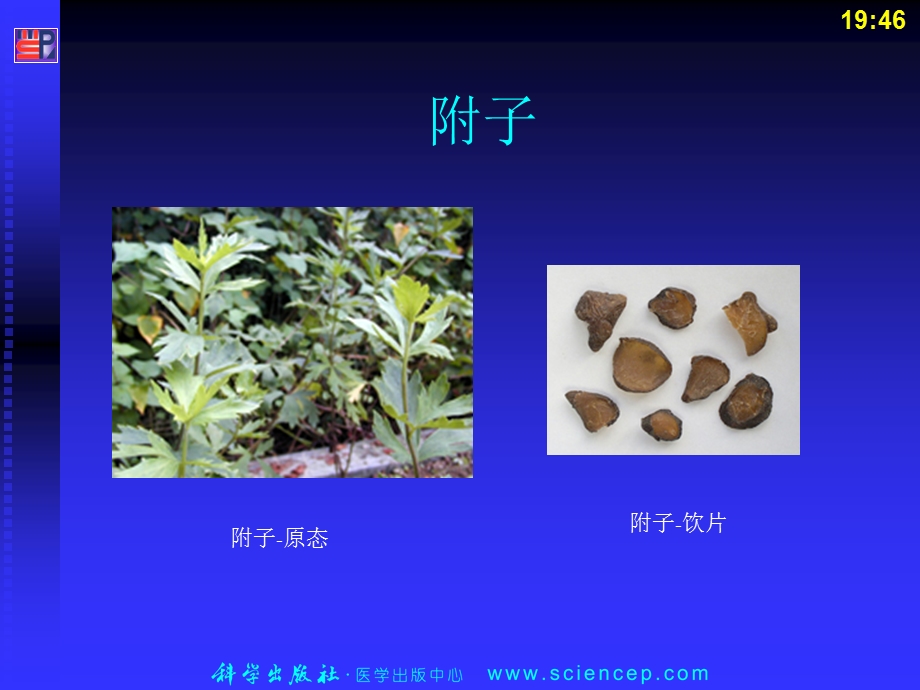 《温里药药剂学》PPT课件.ppt_第3页