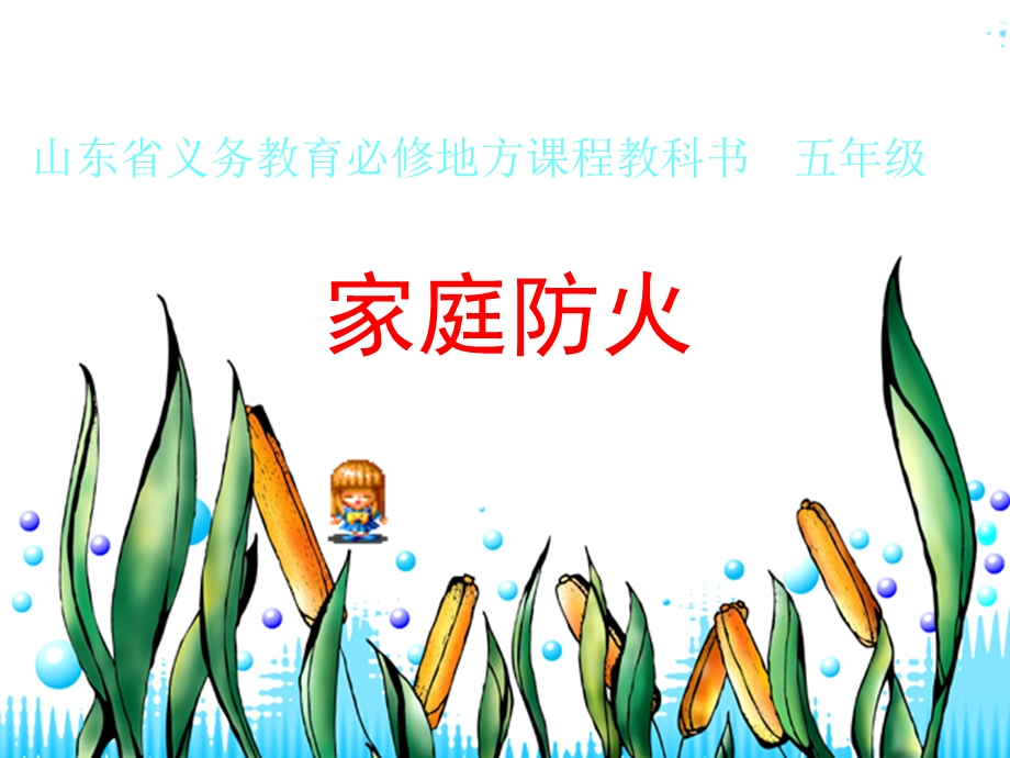 《家庭防火正式》PPT课件.ppt_第1页