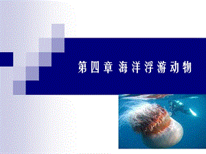 《海洋浮游动物》PPT课件.ppt