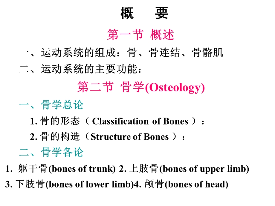 《骨学总论》PPT课件.ppt_第2页