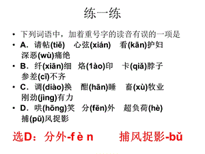 《初字音错字题》PPT课件.ppt