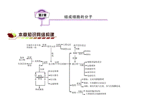 《组成细胞分子》PPT课件.ppt