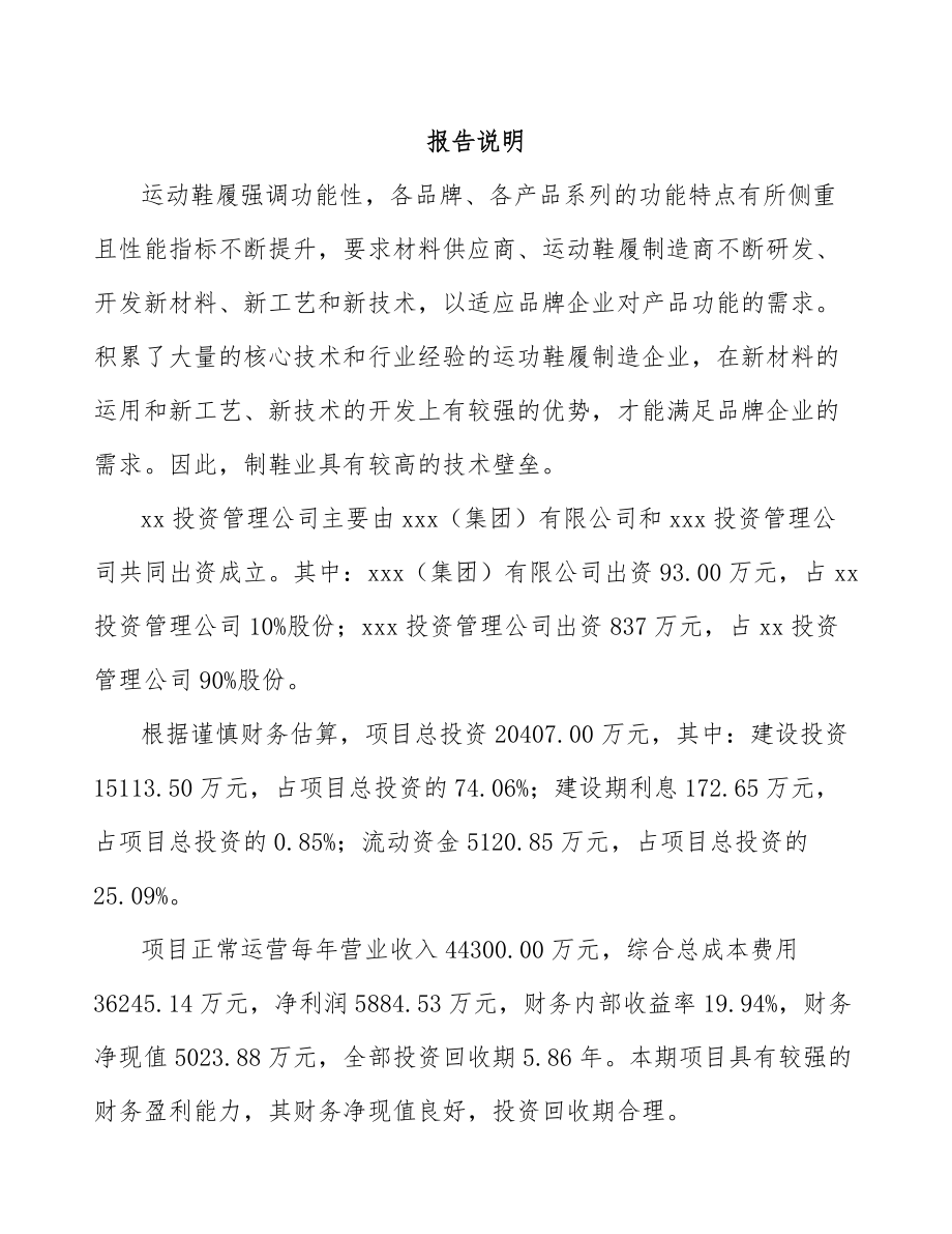 南宁关于成立鞋履公司可行性研究报告.docx_第2页