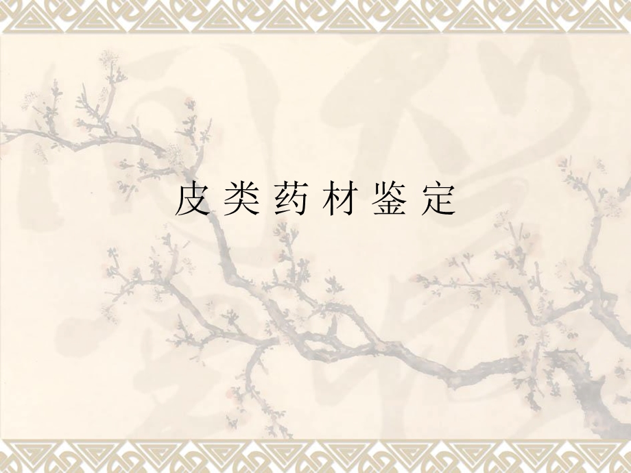 《皮类药材鉴定杜仲》PPT课件.ppt_第1页