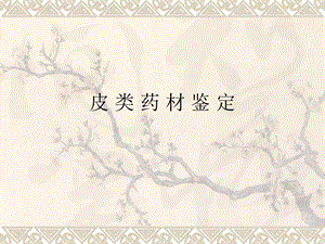 《皮类药材鉴定杜仲》PPT课件.ppt