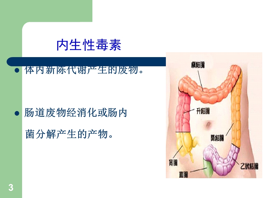 《益生菌与健康》PPT课件.ppt_第3页