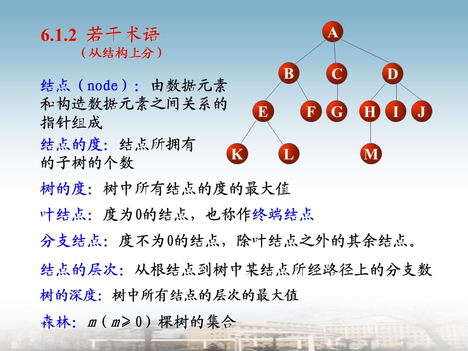 大学数据结构课件6.树和二叉树.ppt_第3页