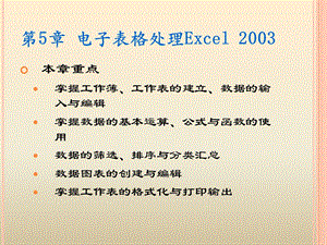 第5章电子表格处理Excel2003本章重点.ppt