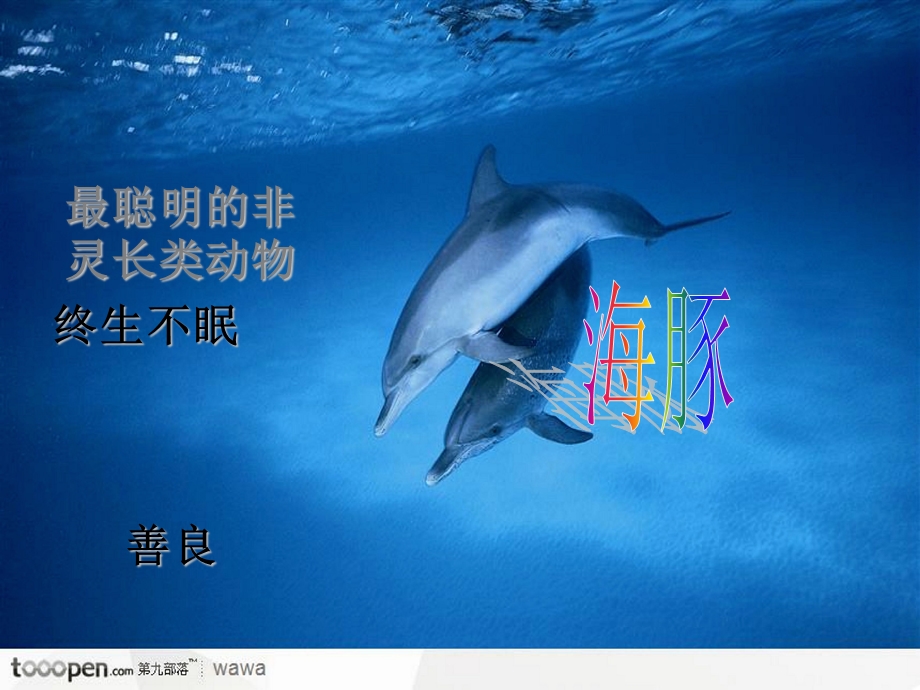 《海洋科普知识》PPT课件.ppt_第2页