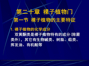 《裸子植物门》PPT课件.ppt