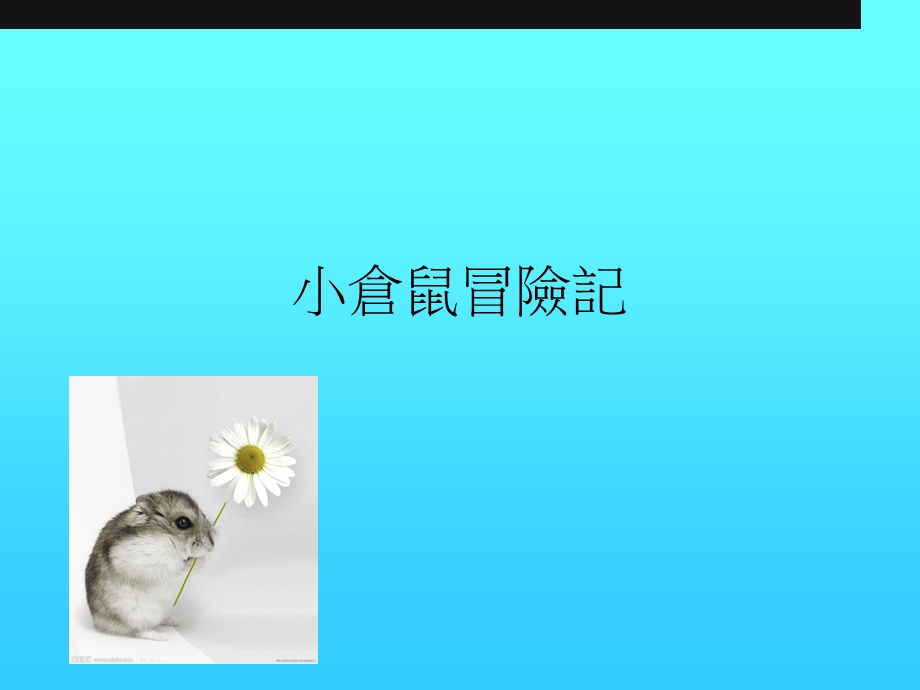 《小仓鼠冒险记》PPT课件.ppt_第1页