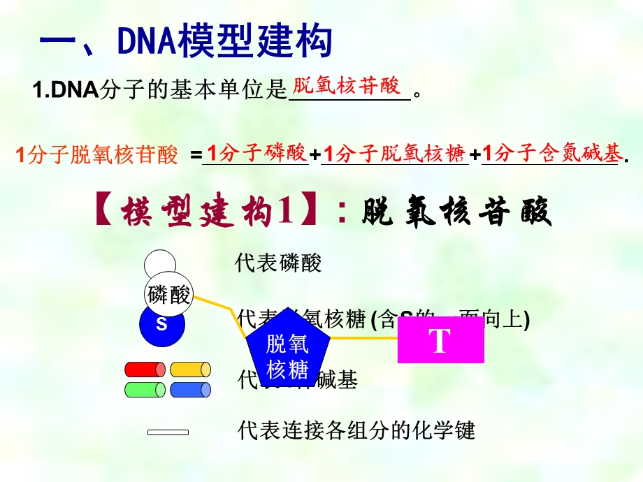 《dna分子的结构》PPT课件.ppt_第3页