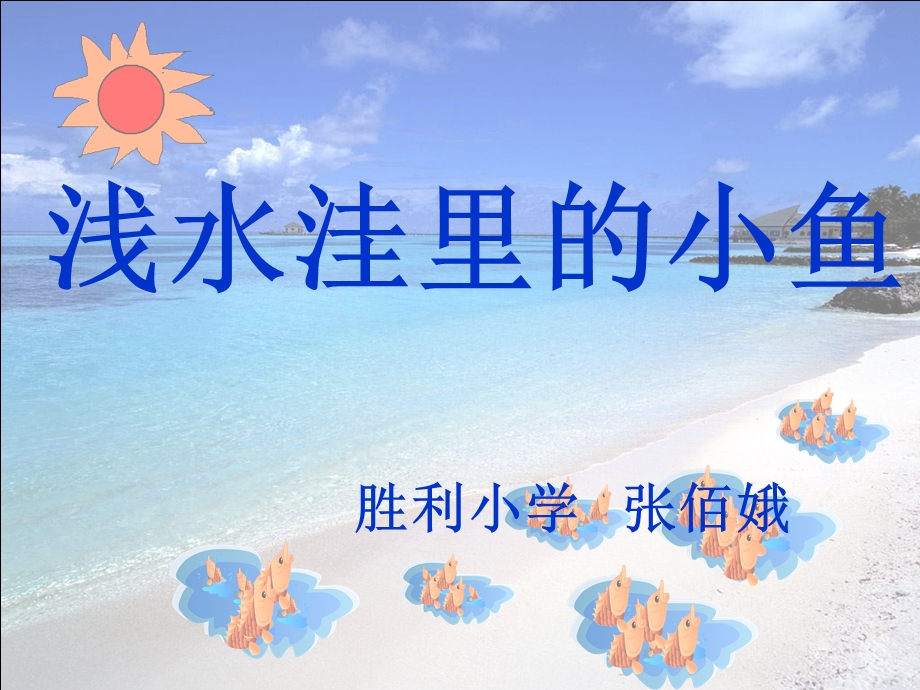 浅水洼里的小鱼 .ppt_第1页