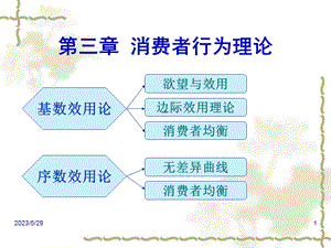 526第三章 消费者行为理论.ppt