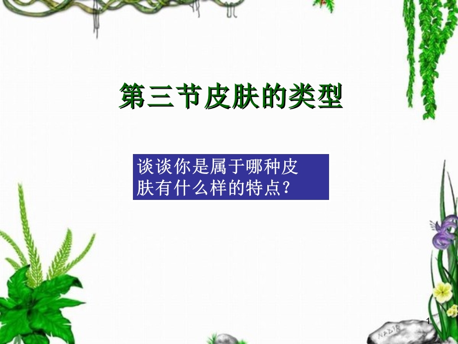 《皮肤类型》PPT课件.ppt_第1页